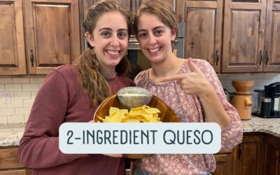 Quick & Easy 2-Ingredient Queso Dip